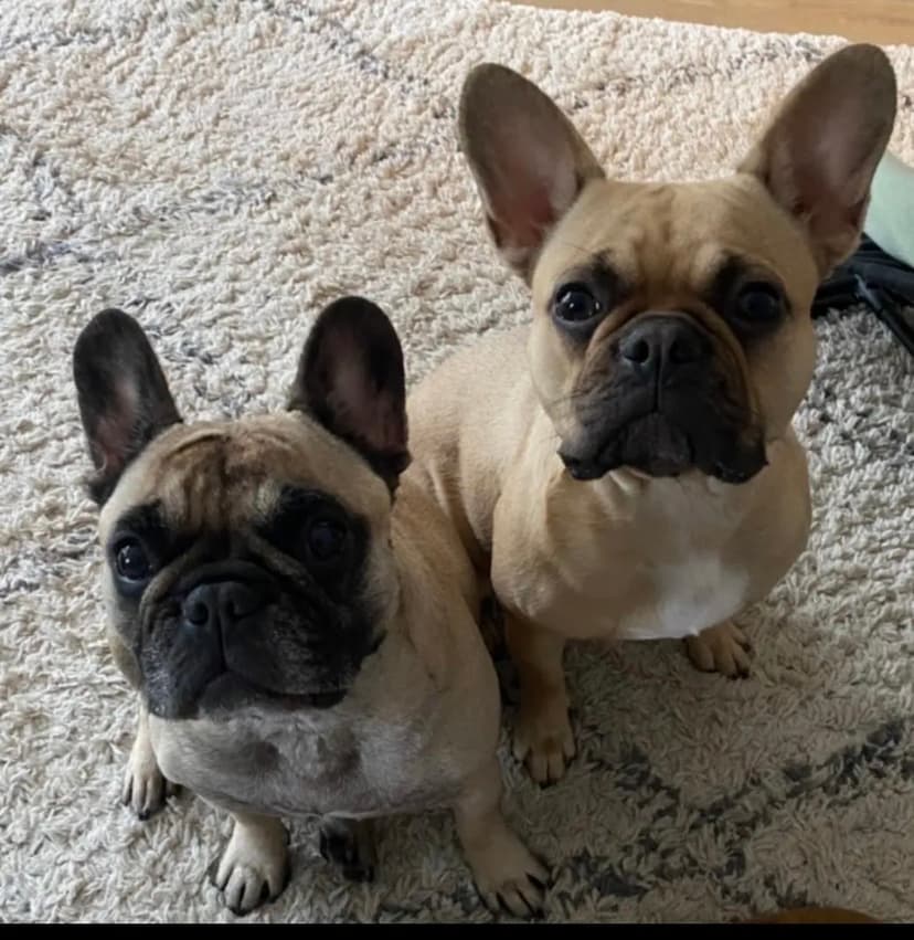 Mimmi & Penny